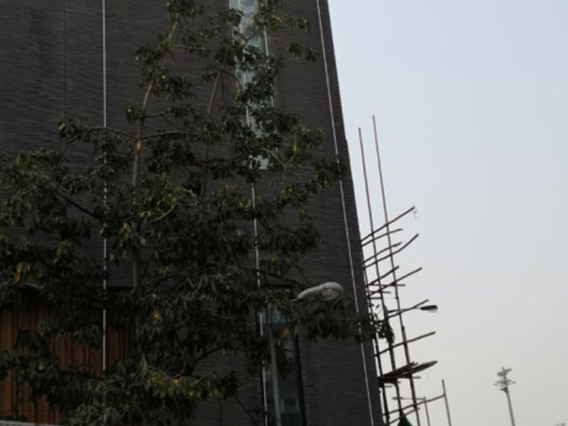 Office of the Food and Environmental Hygiene Department